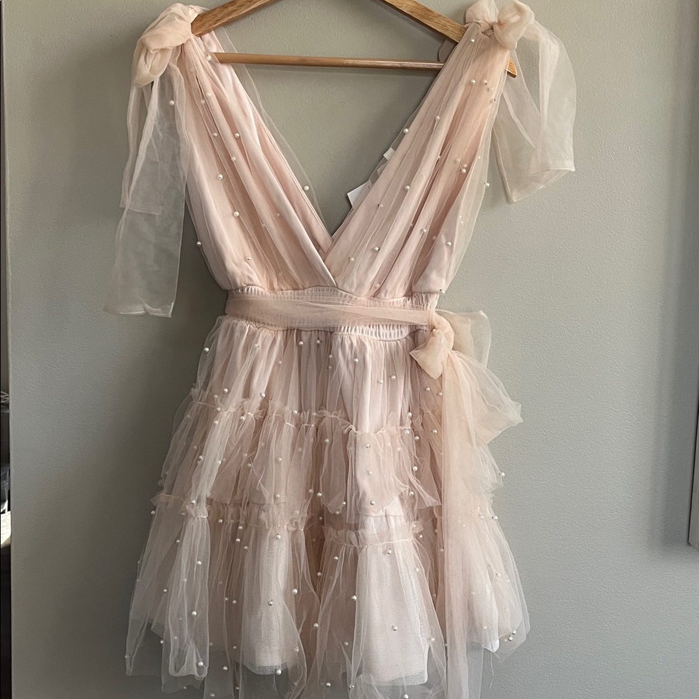 Mable Pearl Stud Swiss Dot Tulle Mini Dress in blush pink size large - Picture 1 of 16